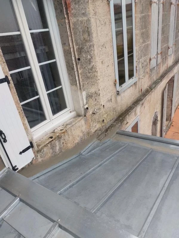 Démoussage de toitures à Puymoyen